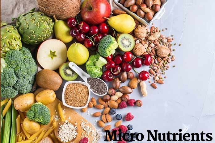 Water Retention Rebalance Your Diet With Micronutrition