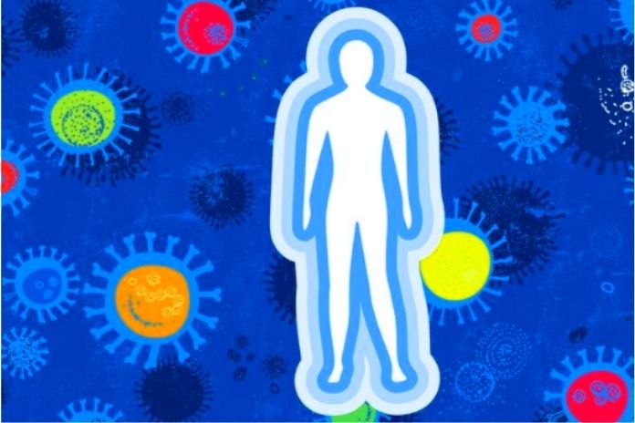 How To Push Your Immune System Against Coronaviruses