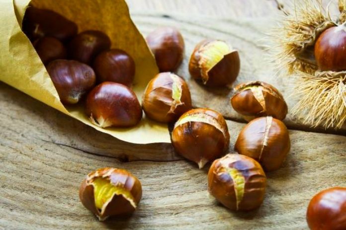 Chestnuts How To Recognize The Good Ones